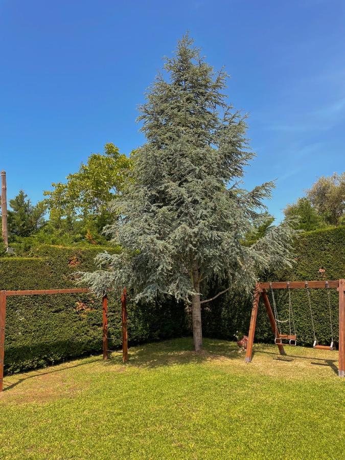 Kourouta Villas Amaliada Dış mekan fotoğraf