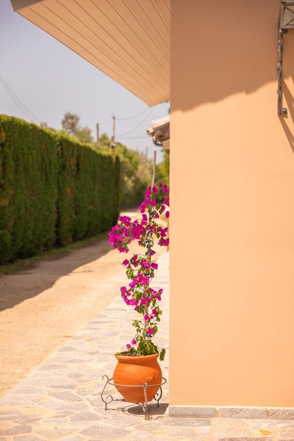 Kourouta Villas Amaliada Dış mekan fotoğraf
